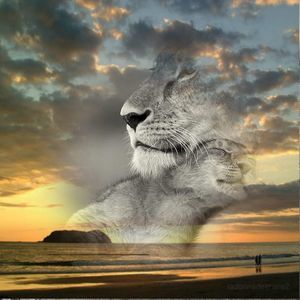 Meet your Posher, Lorinda